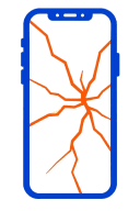 Display Replacement